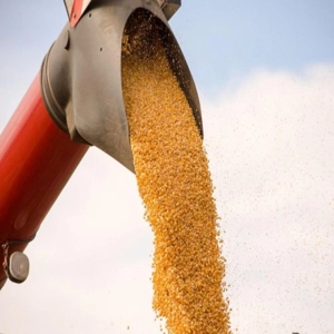 rosca transportadora de grãos rosca transportadora de grãos